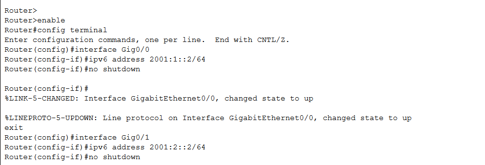 image-20201229205933426