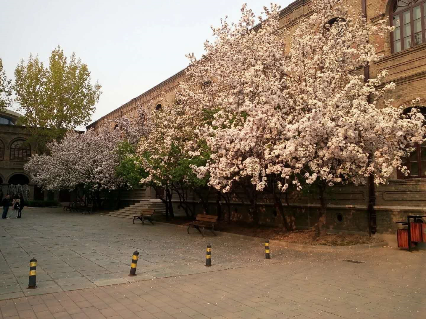 image-20200224230506809