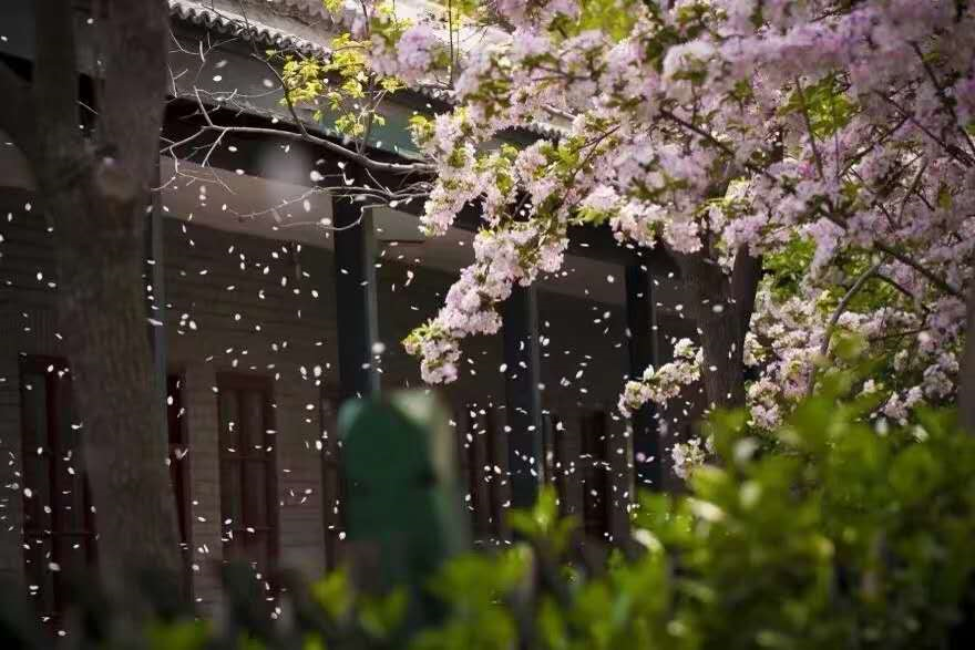 image-20200224231850570