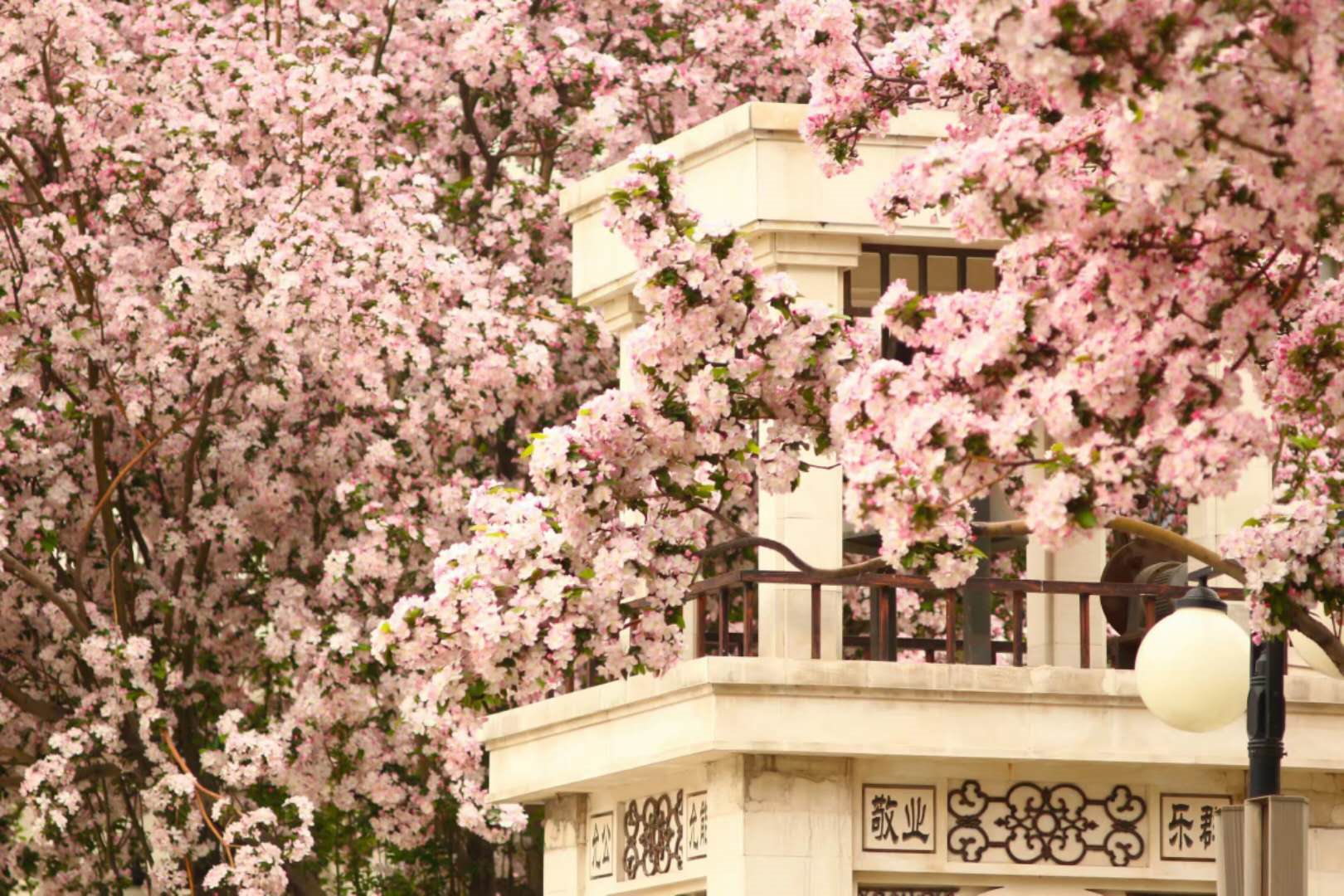 image-20200224232150165