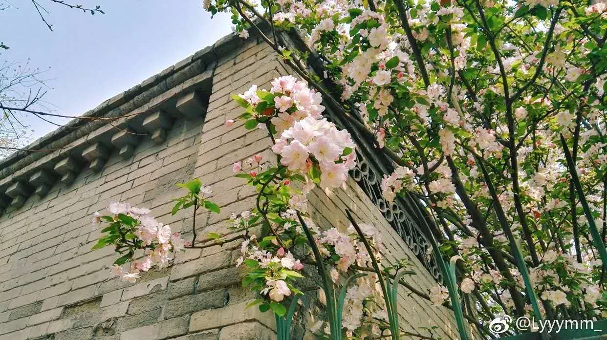 image-20200224232545649